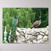 Pfeifen in einem Foto