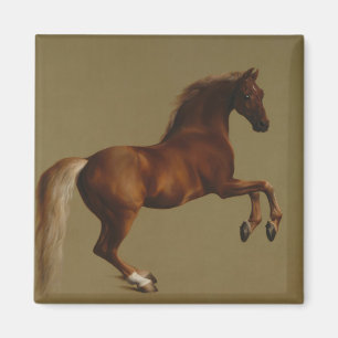 Pfeifenjacke das Pferd (von George Stubbs) Magnet