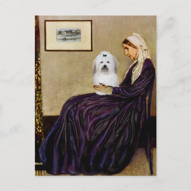 Pfeifer Mutter - Coton de Tulear 2 Postkarte (Vorderseite)