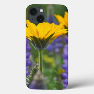 Pfeilblatt-Balsam-Wurzel und Lupine in Frühlingsbl Case-Mate iPhone Hülle
