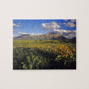 Pfeilblatt Balsamwurzel Wildblumen in Waterton Puzzle