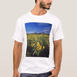 Pfeilblättrige Balsamwurzeln Wildblumen in Waterto T-Shirt