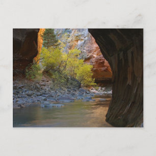 Pfeile im Zion-Nationalpark Postkarte