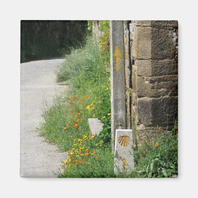 Pfeile und Muschel Magnet (Vorne)