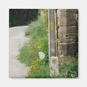 Pfeile und Muschel-Magnet Magnet