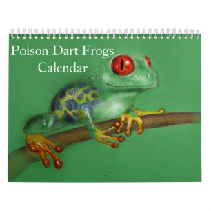 Pfeilgiftfrösche-Kalender 2027 Kalender