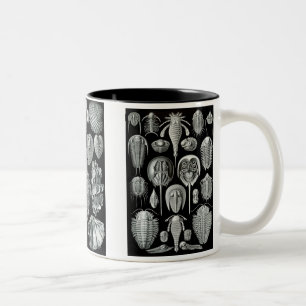 Pfeilschwanzkrebse, Trilobites u. Schnecken Zweifarbige Tasse