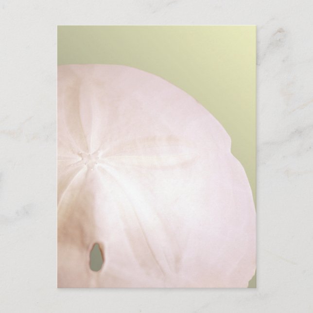 Pfeilspitze Postkarte (Vorderseite)