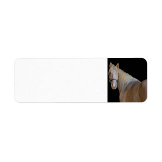 Pferd