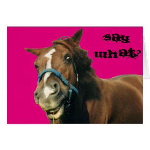 Pferd
