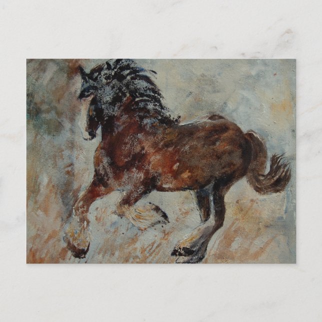 Pferd561 Postkarte (Vorderseite)