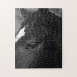 Pferd 11x14 252pc jpcna puzzle