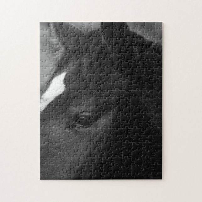 Pferd 11x14 252pc jpcnm puzzle (Vertikal)