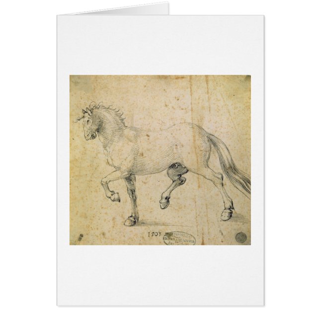 Pferd, 1503 (Feder auf Papier) (Vorne)