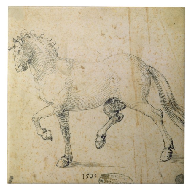 Pferd, 1503 (Feder auf Papier) Fliese (Vorderseite)