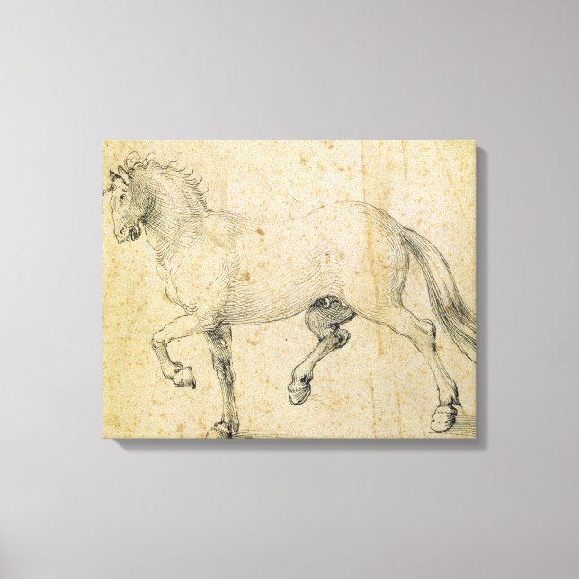 Pferd, 1503 (Stift und Tinte auf Papier) Leinwanddruck (Vorderseite)