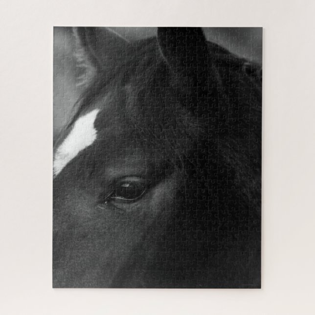 Pferd 16x20 520pc jpcna puzzle (Vertikal)