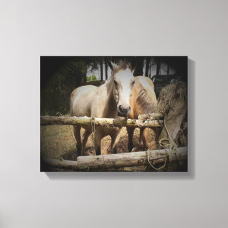 Pferd 1 Stretchierte Canvas Print Leinwanddruck