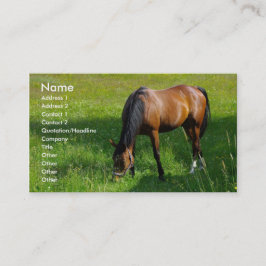 Pferd #1 visitenkarte