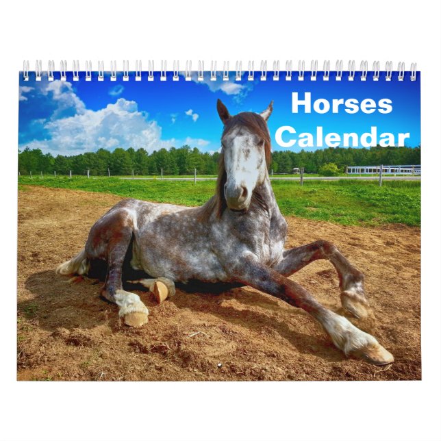 Pferd 2025 kalender (Titelbild)