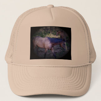 Pferd 2 Hut Truckerkappe