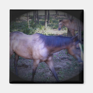 Pferd 2 Magnet