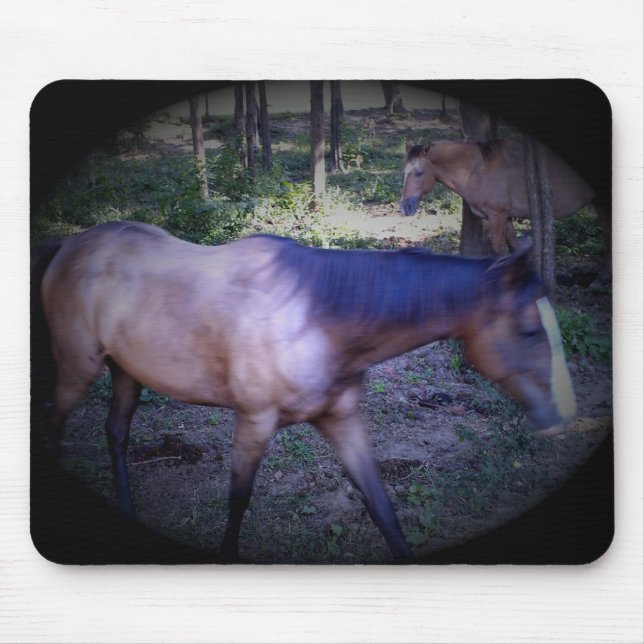 Pferd 2 Mousepad (Vorne)
