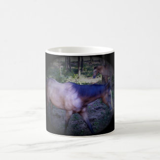 Pferd 2 Tasse