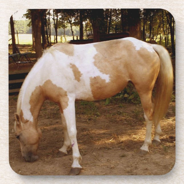 Pferd 3 getränkeuntersetzer (Vorderseite)