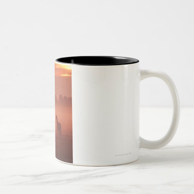 Pferd am Sonnenaufgang Zweifarbige Tasse (Rechts)