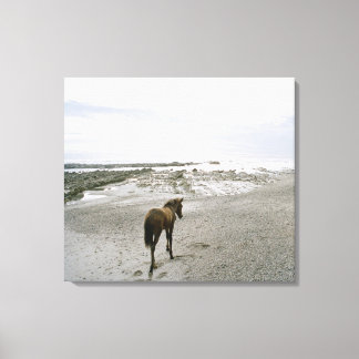 Pferd am Strand Leinwanddruck