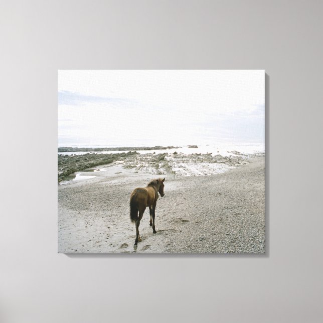 Pferd am Strand Leinwanddruck (Vorderseite)