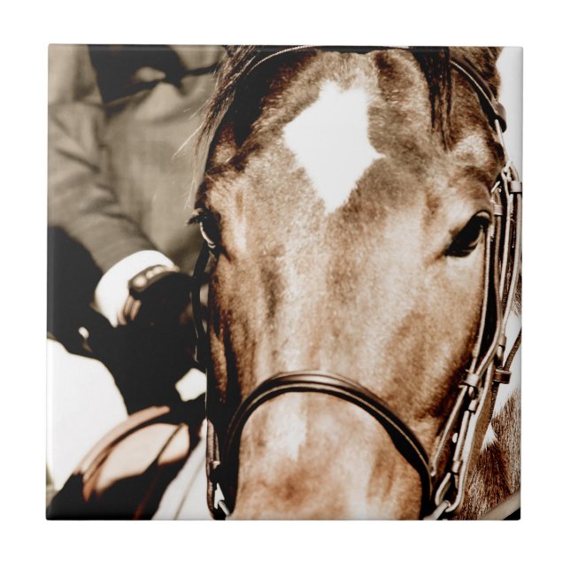 Pferd anzeigen fliese (Vorderseite)