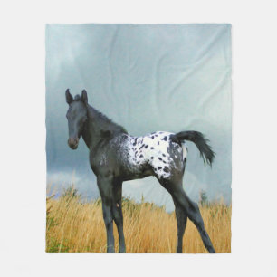 Pferd - Appaloosa-Colt-Fleece-Decke Fleecedecke