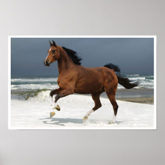 Pferd auf dem Beach Art Print Poster laufen