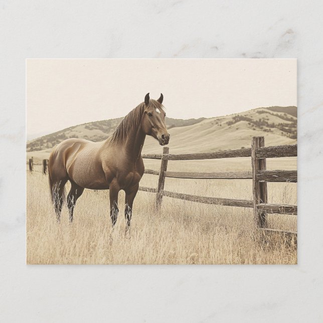 Pferd auf der Vintagen Sepia-Range Postkarte (Vorderseite)