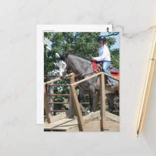 Pferd auf einem Bridge Trail Class Landkreis Fair Postkarte