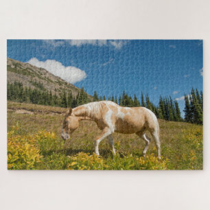 Pferd auf Gräsern auf einer alpinen Wiese im Somme Puzzle