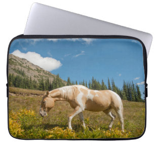 Pferd auf Gräsern im Sommer auf der Alp Wiese Laptopschutzhülle