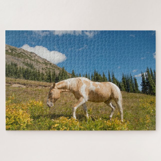 Pferd auf Gräsern im Sommer auf der Alp Wiese Puzzle (Horizontal)