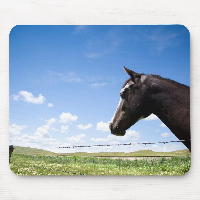 Pferd auf Weide stehend Mousepad (Vorne)