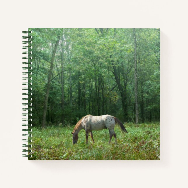 Pferd auf Wiese Notizbuch (Vorderseite)