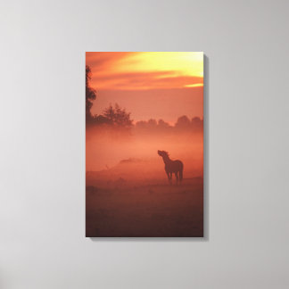 Pferd bei Sonnenaufgang Leinwanddruck
