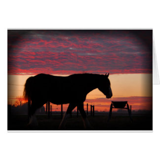 Pferd bei Sonnenuntergang