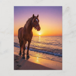 Pferd bei Sonnenuntergang am Strand Küstenpostkart Feiertagspostkarte