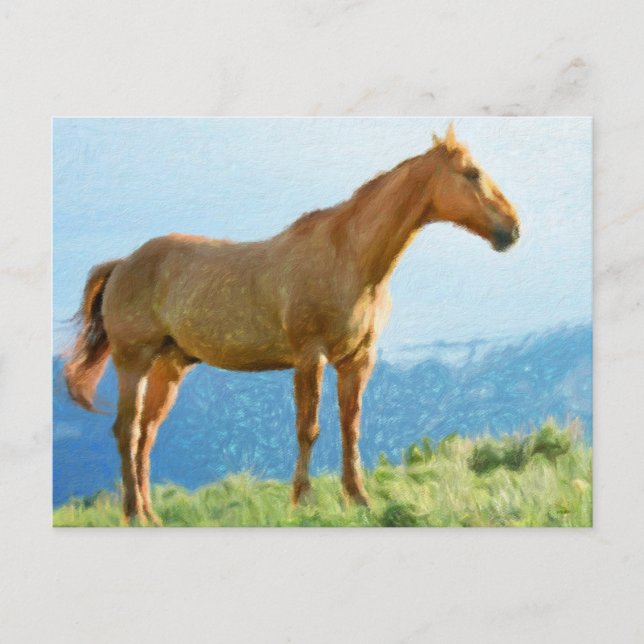 *~* Pferd - Berge Hügel AR22 Wasserfarbe Postkarte (Vorderseite)
