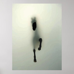 Pferd bricht durch den Nebel Poster