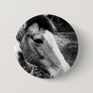 Pferd Button