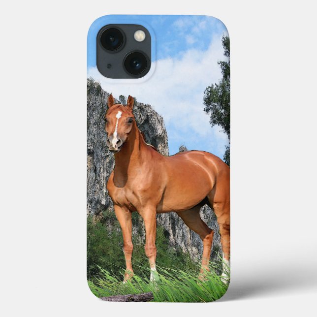 Pferd Case-Mate iPhone Hülle (Rückseite)