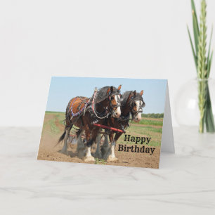 Pferd Clydesdale Foto Landwirtschaft Geburtstag Karte